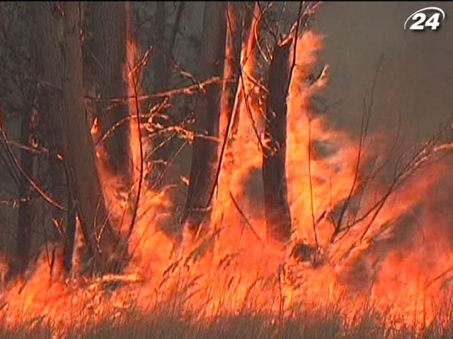 На Херсонщині за два дні згоріло 200 гектарів лісу
