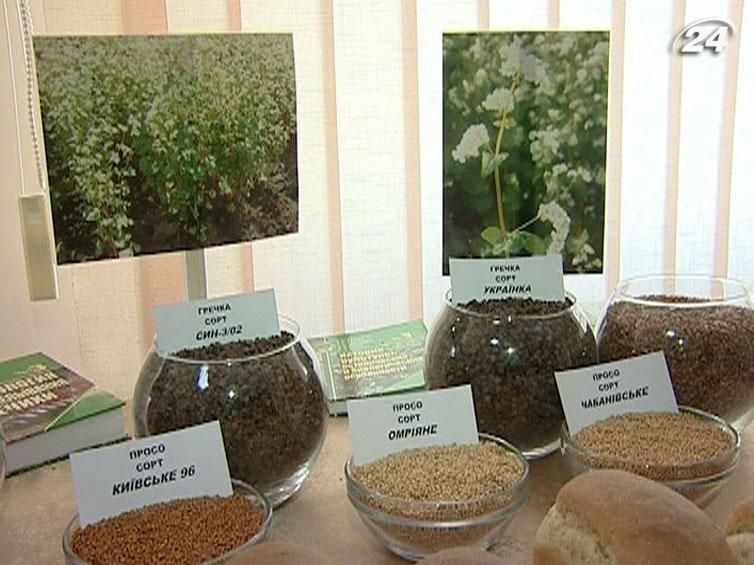 Парламент отказался от китайских миллиардов для сельского хозяйства Парламент отказался от китайских миллиардов для сельского хозяйства