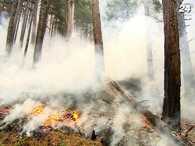 Біля Ялтинського заповідника горять близько 10 гектарів лісу