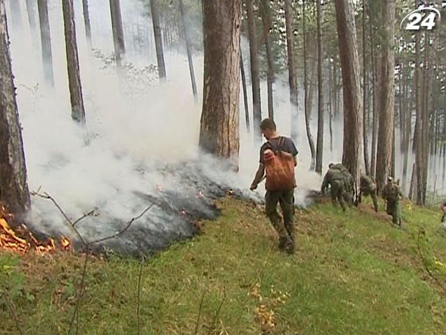 Лісову пожежу поблизу Ялти вдалось локалізувати