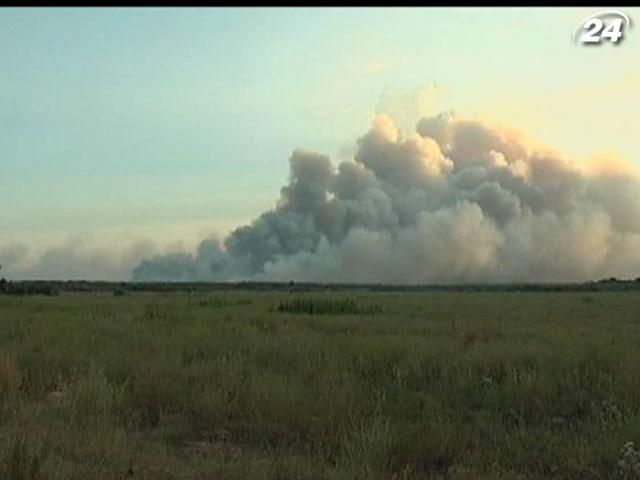 В Херсонской области лесной пожар уже полностью преодолели