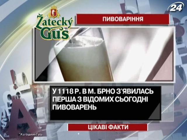 Цікаві факти про пивоваріння у Чехії
