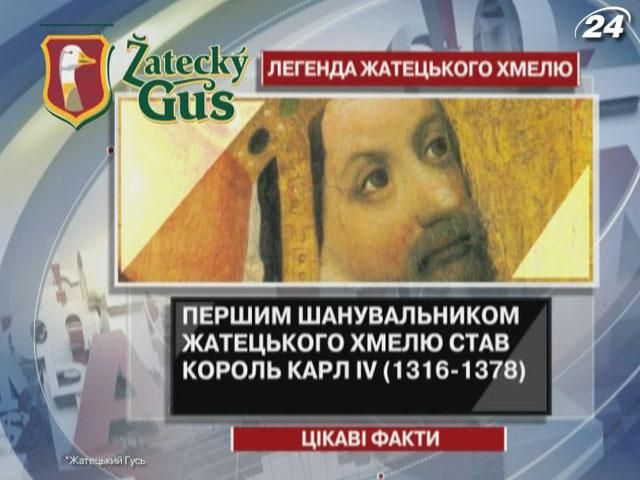 Интересные факты о появлении жатецкого хмеля Интересные факты о появлении жатецкого хмеля