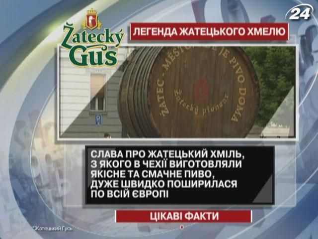 Цікаві факти про підробки жатецького хмелю