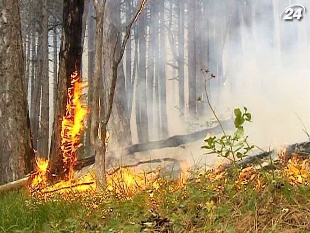 За останню добу в Україні сталось 525 пожеж