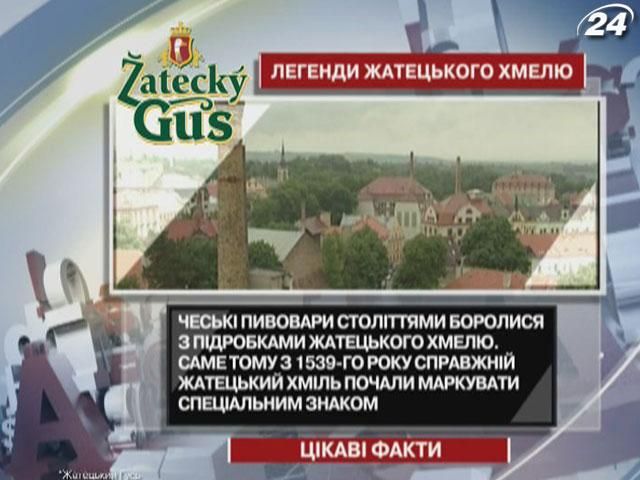 Боротьба чеських пивоварів з підробками жатецького хмелю тривала століттями