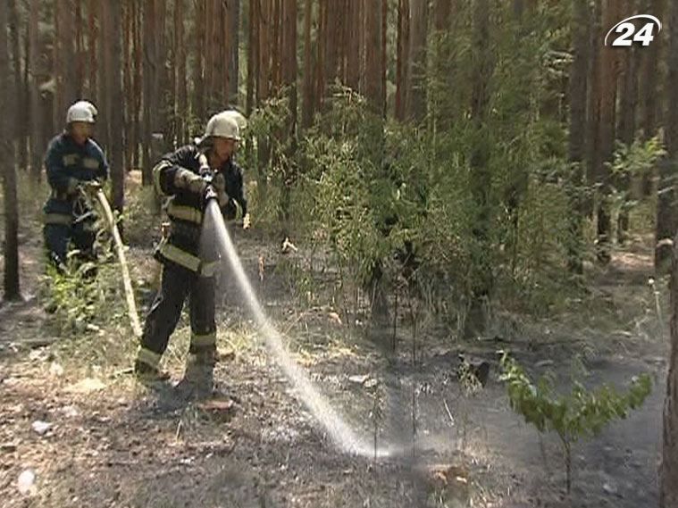 МНС: через людський фактор згоріло 3,5 га лісів