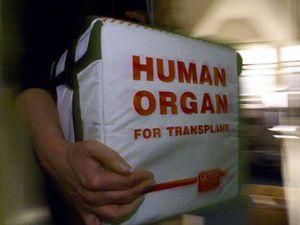 У Китаї затримали 140 постачальників людських органів У Китаї затримали 140 постачальників людських органів