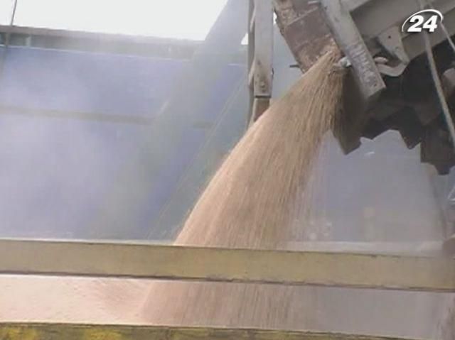 Украина экспортировала вдвое больше зерна, чем в прошлом году Украина экспортировала вдвое больше зерна, чем в прошлом году