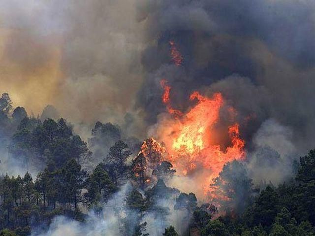 Канарские острова охватили масштабные пожары