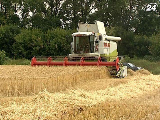 Украина намолотила 24,6 млн тонн зерна