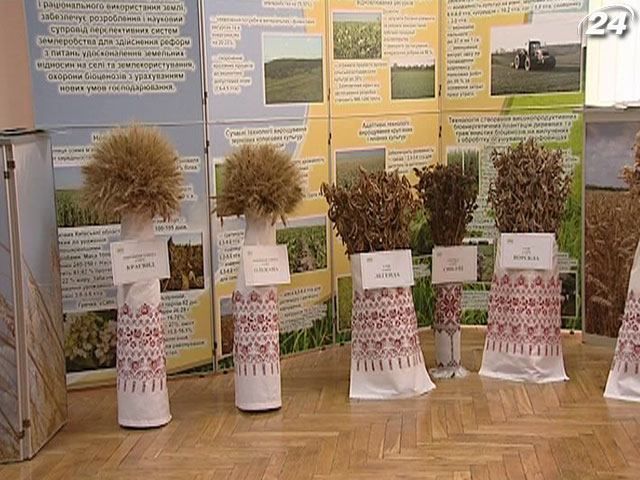 На кожній тонні зерна аграрії зможуть заробити на 1/3 більше На кожній тонні зерна аграрії зможуть заробити на 1/3 більше