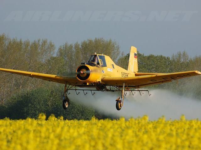 На Чернігівщині впав літак: загинув пілот На Чернігівщині впав літак: загинув пілот