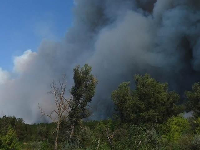 На Херсонщине горят 700 гектаров леса (Фото)