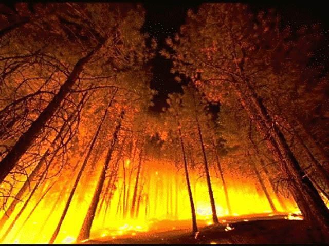 Причиной пожара на Херсонщине считают умышленный поджог