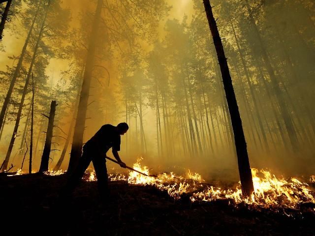 МНС: Пожежі в Херсонській області ліквідовано