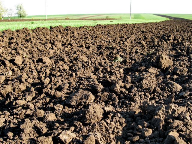 Чиновник з Харківщини "роздарував" землі на 2 мільйони Чиновник з Харківщини "роздарував" землі на 2 мільйони