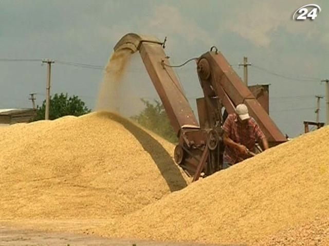 Украина сократила сбор ранних зерновых на 23%