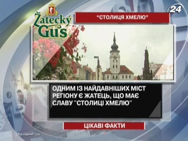 Цікаві факти про епіцентр вирощування жатецького хмелю