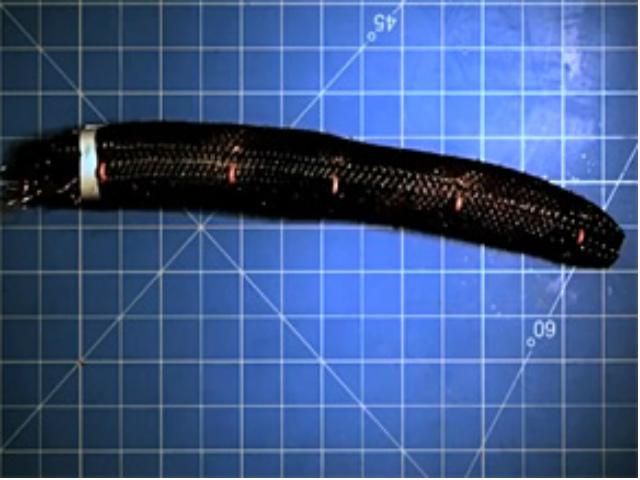 Инженеры Пентагона создали "червя-шпиона" (Видео) Инженеры Пентагона создали "червя-шпиона" (Видео)