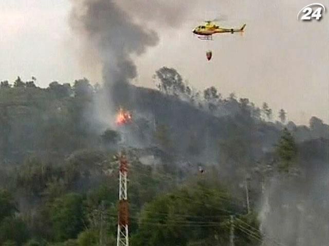 Из-за лесных пожаров на Канарах эвакуированы уже пять тысяч человек