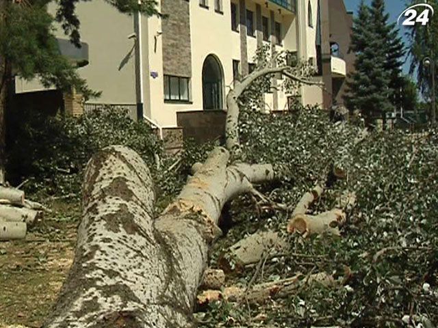 Во время урагана на Донетчине пострадали 2 человека Во время урагана на Донетчине пострадали 2 человека