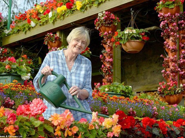 У Великобританії літня пара доглядає за "квітковим" будиночком (Фото) У Великобританії літня пара доглядає за "квітковим" будиночком (Фото)