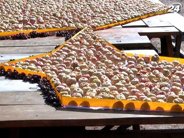 В Мамаевой Слободе на праздник Спаса сделали карту Украины из яблок В Мамаевой Слободе на праздник Спаса сделали карту Украины из яблок