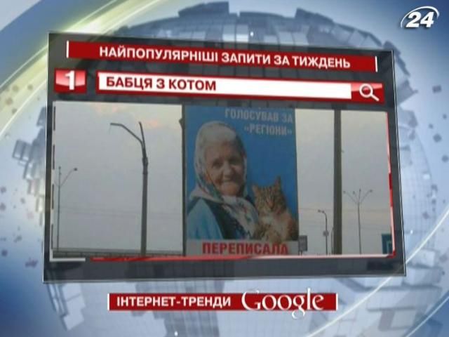 Бабушка с котом - самый популярный запрос в Google