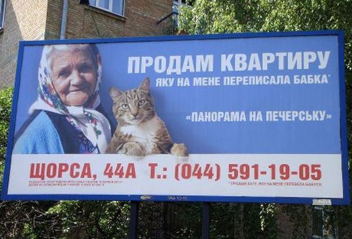 Бабушка с котом