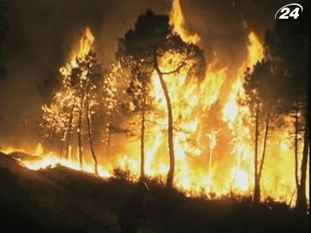 В Испании горят тысячи гектаров леса