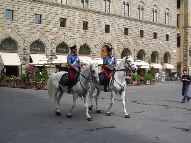 В Италии увеличилось количество грабителей В Италии увеличилось количество грабителей
