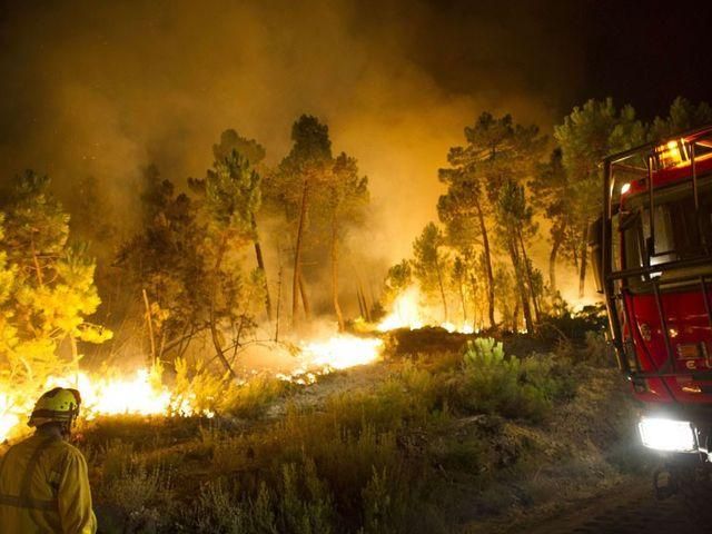 В Европе борются с лесными пожарами 