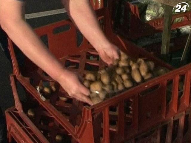 Американці щорічно викидають їжі на суму 165 млрд доларів Американці щорічно викидають їжі на суму 165 млрд доларів