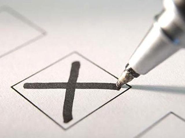 Опитування: 75% українців планують піти на вибори