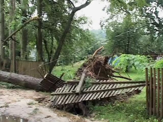 Ветер повалил десятки деревьев и оборвал линии электропередач на Ровенщине