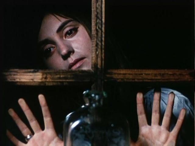 У Нью-Йорку покажуть шедеври українського кіно (Відео) У Нью-Йорку покажуть шедеври українського кіно (Відео)