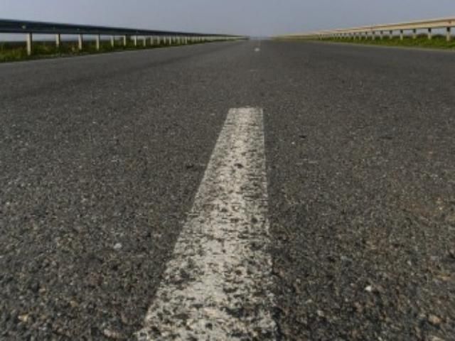 Дорожную разметку нанесли прямо на мертвую кошку Дорожную разметку нанесли прямо на мертвую кошку