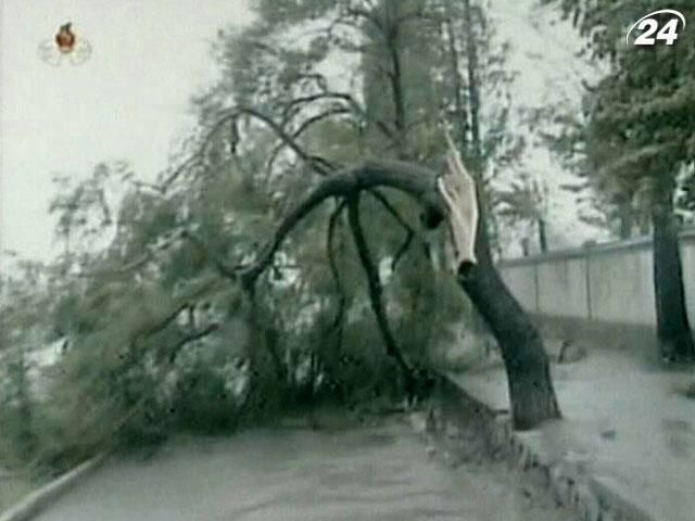 Внаслідок тайфуну у Північній Кореї загинуло 48 людей Внаслідок тайфуну у Північній Кореї загинуло 48 людей