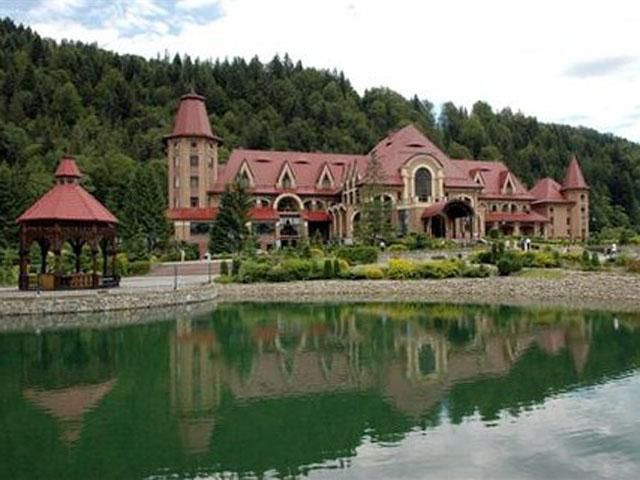 На пальне для резиденції Януковича витратили 376 тисяч На пальне для резиденції Януковича витратили 376 тисяч