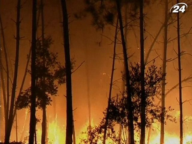 Влада Португалії просить ЄС допомогти гасити лісові пожежі