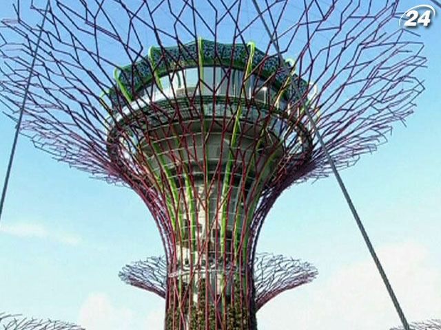 В Сингапуре создали хай-тек сад с уникальными искусственными деревьями В Сингапуре создали хай-тек сад с уникальными искусственными деревьями