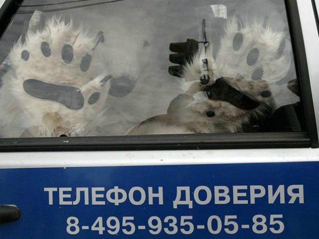 Захисники природи заблокували офіс Газпрому в Москві (Фото) Захисники природи заблокували офіс Газпрому в Москві (Фото)