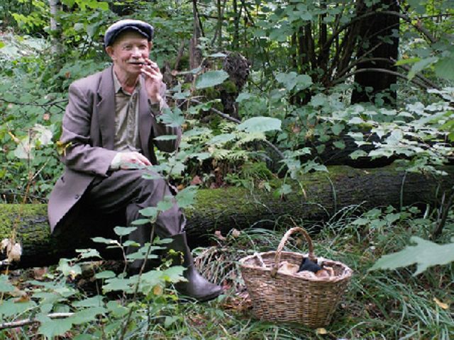 На Житомирщине исчезают грибники. Одного нашли мертвым На Житомирщине исчезают грибники. Одного нашли мертвым