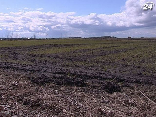 Земельний банк в Україні створювати не будуть