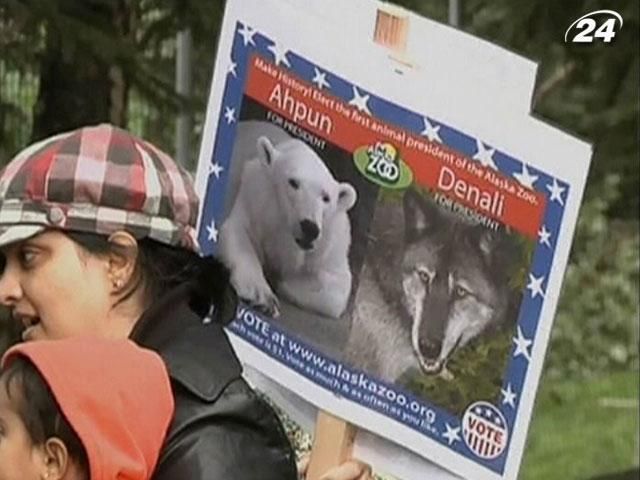 В одному із зоопарків США проведуть вибори тварини-президента