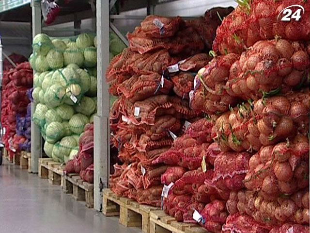 Украинские фермеры соберут в этом году 9 миллионов тонн овощей Украинские фермеры соберут в этом году 9 миллионов тонн овощей