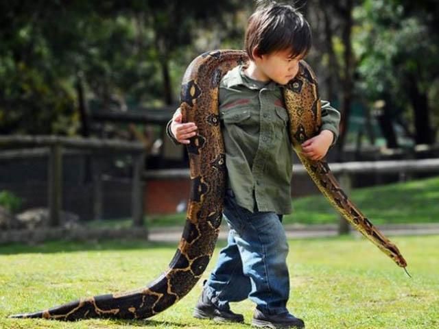 В Австралії 2-річний хлопчик дружить з рептиліями (Фото)
