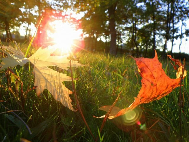 З понеділка в Україні потеплішає З понеділка в Україні потеплішає