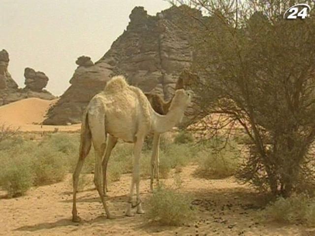Сахара - невичерпна база даних про кліматичні зміни